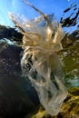 Underwater views of the Black Sea. Different objects and garbage under water, freediving.