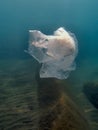 Underwater views of the Black Sea. Different objects and garbage under water, freediving.