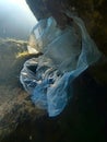 Underwater views of the Black Sea. Different objects and garbage under water, freediving.