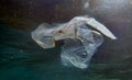 Underwater views of the Black Sea. Different objects and garbage under water, freediving.