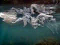 Underwater views of the Black Sea. Different objects and garbage under water, freediving.