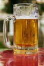 Have a beer Royalty Free Stock Photo