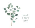 Have a nice Day greeting card with silver dollar Eucalyptus plant branches. Hand painted eucalyptus elements isolated on