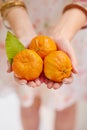 Have some tasty tangerines. three tangerines in a womans hands.