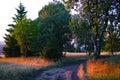 Hiking trail in Biosphere reserve Rhoen in summer by sunset light Royalty Free Stock Photo