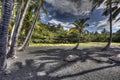 Punaluu Black Sand Beach Big Island Hawaii