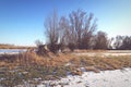 Havel river meadows in winter with typical willow trees Royalty Free Stock Photo
