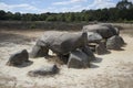 Havelte, Drenthe, Netherlands - July 14, 2018: Old stone grave l