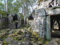 A scene from the ancient Khmer temple ruins of Ta Nei