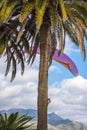 Motorized Paraglider over the Spanish resort of Nerja on the Costa del Sol Spain Royalty Free Stock Photo