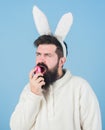 Having fun. Grinning bearded man wear silly bunny ears. Easter symbol concept. Hipster cute bunny long ears blue