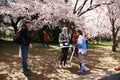 Having fun under the Cherry Blossom trees