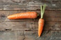Having a large or a small carrot, the size matters concept, self-esteem, self-confidence, and size concerns Royalty Free Stock Photo