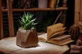 Havortia succulent in pot natural wood and book. unpretentious house plants. diy pot with your own hands. simple ideas for home