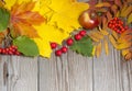 Haw ash and apple in autumn composition Royalty Free Stock Photo