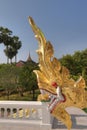 Haw Pha Bang - Royal Chapel Royalty Free Stock Photo