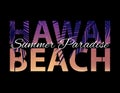 Hawai Beach Summer Paradise Abstract Palm Background. Vector Illustration