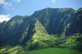 Hawaii Royalty Free Stock Photo