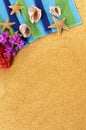 Hawaii beach background copy space vertical Royalty Free Stock Photo