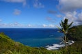 Hawaii_beach_palm_1