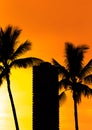 Hawaii Beach Sunset Silhouettes