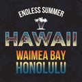 Hawaii beach tee print with palm tree. T-shirt design graphics stamp label typography. Vector Royalty Free Stock Photo