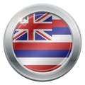 Hawaii Flag Silver Icon