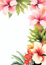 hawaii flowers border on white background