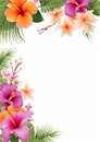 hawaii flowers border on white background