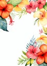 hawaii flowers watercolor border on white background