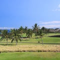 Hawaii Golf in Coastal Palm Grove Royalty Free Stock Photo
