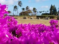 Hawaii Golf Royalty Free Stock Photo