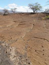 Hawaii Lava Field with Native Carvings