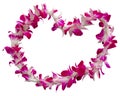 Hawaii Lei On A White Background Royalty Free Stock Photo