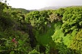 Hawaii Natural Scenery with Waterfall