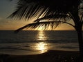 Hawaii Palm tree sunset Royalty Free Stock Photo