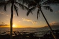 Hawaii Palm Tree Sunset Sunstar Royalty Free Stock Photo