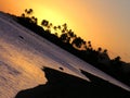 Hawaii Palms and ocean at sunset Royalty Free Stock Photo