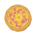 Hawaii pizza with pineapple and ham icon vector