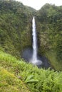 Hawaii Scenery: Akaka Falls Waterfall Royalty Free Stock Photo