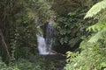 Hawaii Scenery: Small waterfall near Akaka Falls