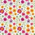 Hawaii seamless floral pattern, textile flowers elements, colorful floral, white background, violet flower, purple flower, Royalty Free Stock Photo