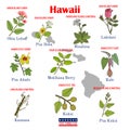 Hawaii. Set of USA official state symbols