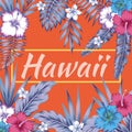 Hawaii slogan tropical leaves hibiscus orange background Royalty Free Stock Photo