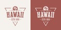 Hawaii state textured vintage vector t-shirt and apparel design, typography, print, logo, poster.