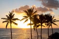Hawaii Sunset with palm tree silhouette Royalty Free Stock Photo