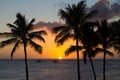Hawaii Sunset with palm tree silhouette