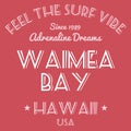 Hawaii surf design