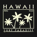 Hawaii surfing typography for design clothes, t-shirt