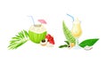 Hawaii symbols set. Tropical cocktails cartoon vector illustration